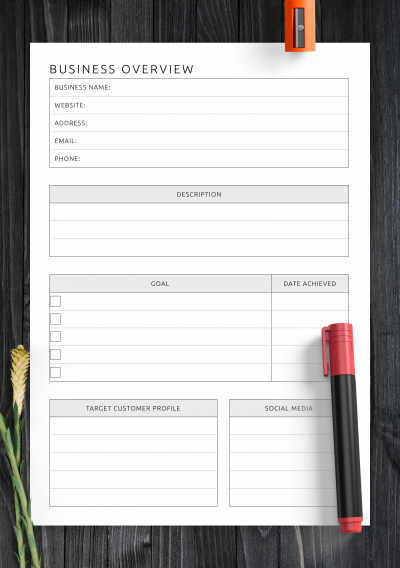 Download Business Overview Template
