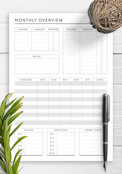 Download Monthly Budget Overview Template