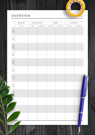 Download Yearly Budget Overview Template