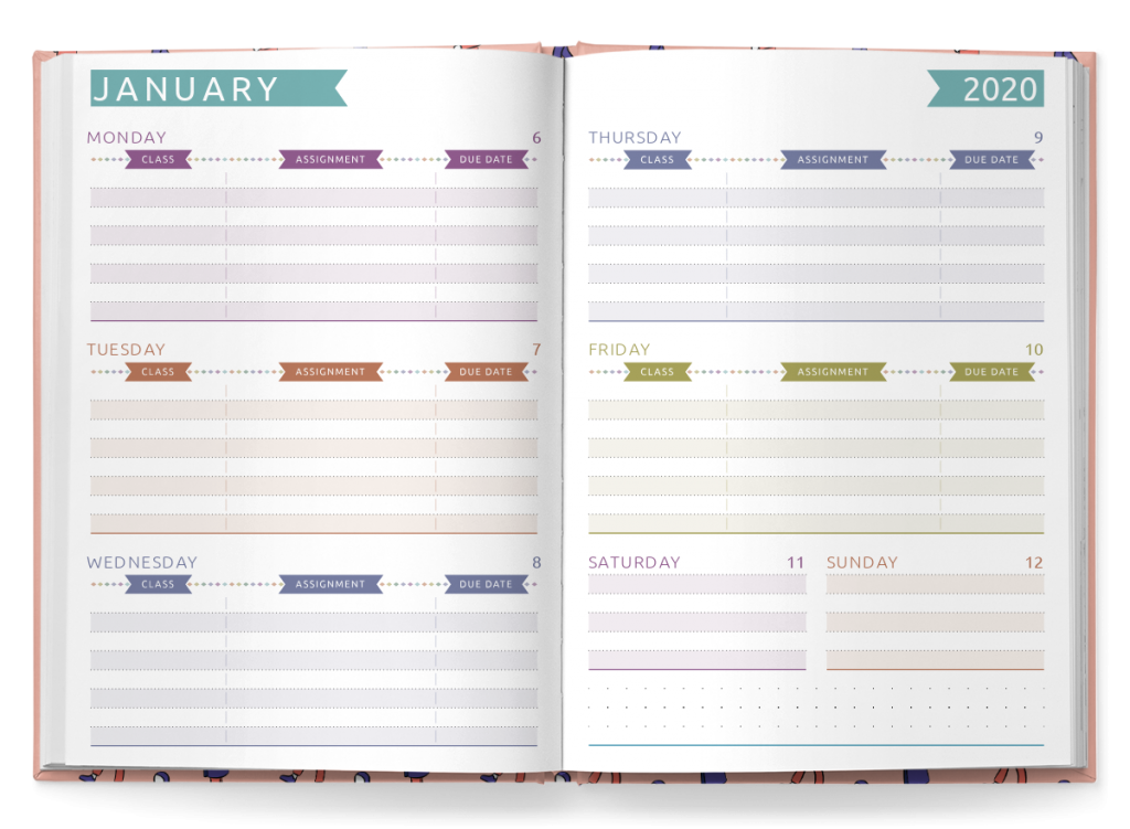 7 Best Academic Planners For College Students