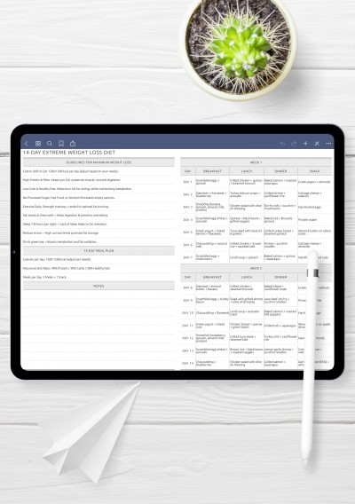 2-Week Weight Loss Diet Plan: High Protein, Low Carb Meals template for GoodNotes