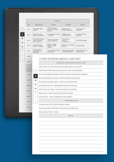 2-Week Weight Loss Diet Plan: High Protein, Low Carb Meals template for Kindle Scribe