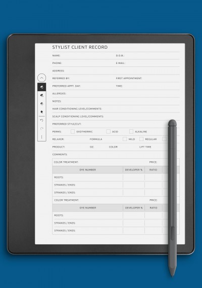 Kindle Scribe Stylist Client Record Template