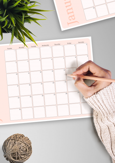 Download Printable Pink Monthly Calendar PDF