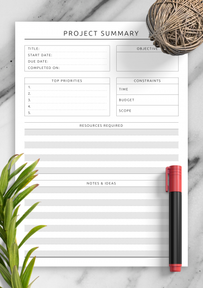 Download Project Summary Template - Printable PDF