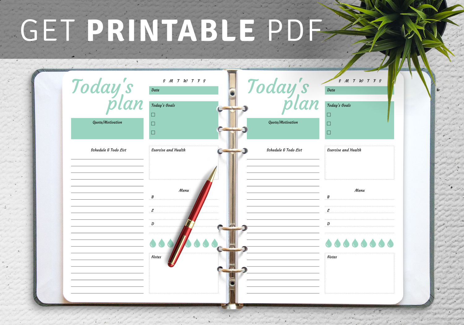 Daily timetable template - Download PDF