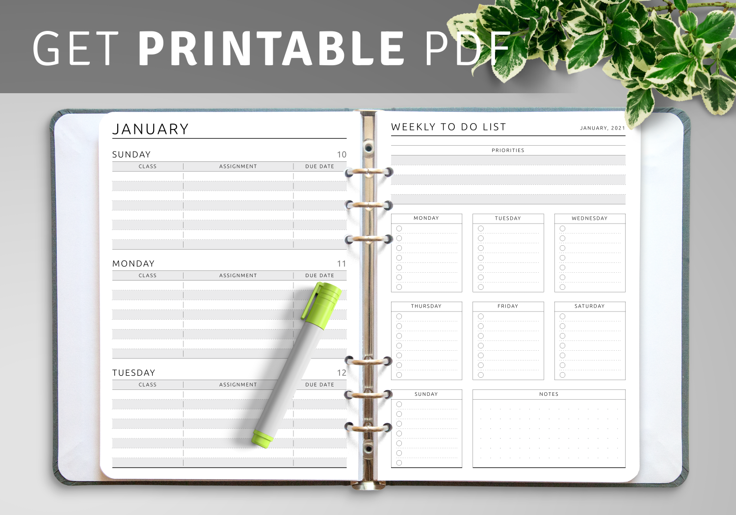 DO1P w/ Daily To Do List Dot Grid Notes ~ Classic Happy Planner 7 x 9.25 PDF Download Undated Daily Printable Planner Inserts