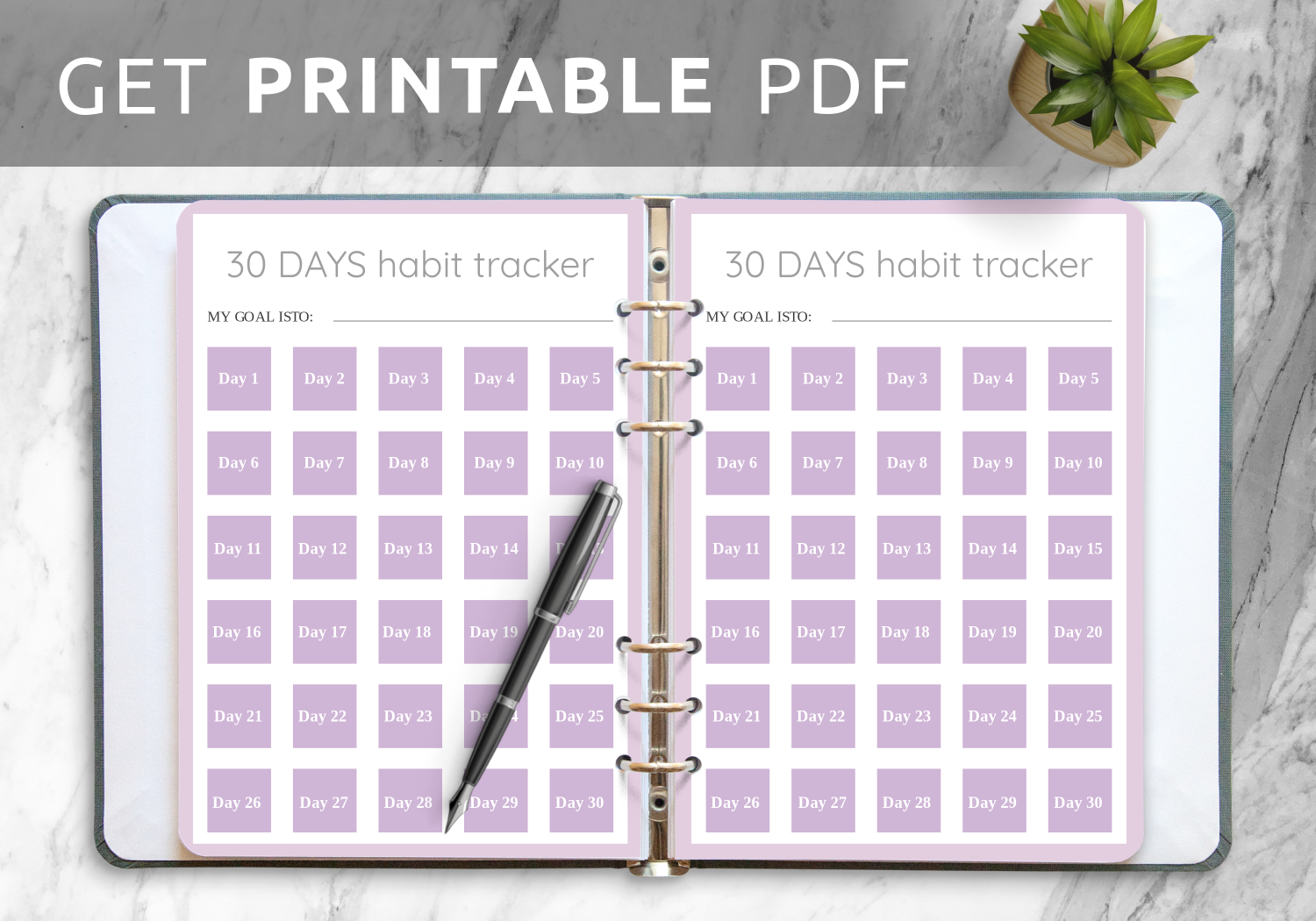Calendars Planners Paper Paper Party Supplies 30 Day Challenge PDF
