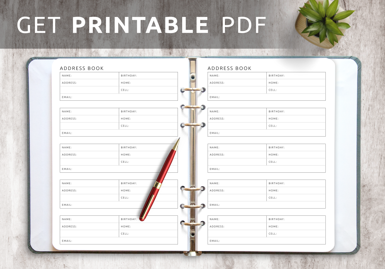 Free Printable Address Book Pages: Get Your Contact Information