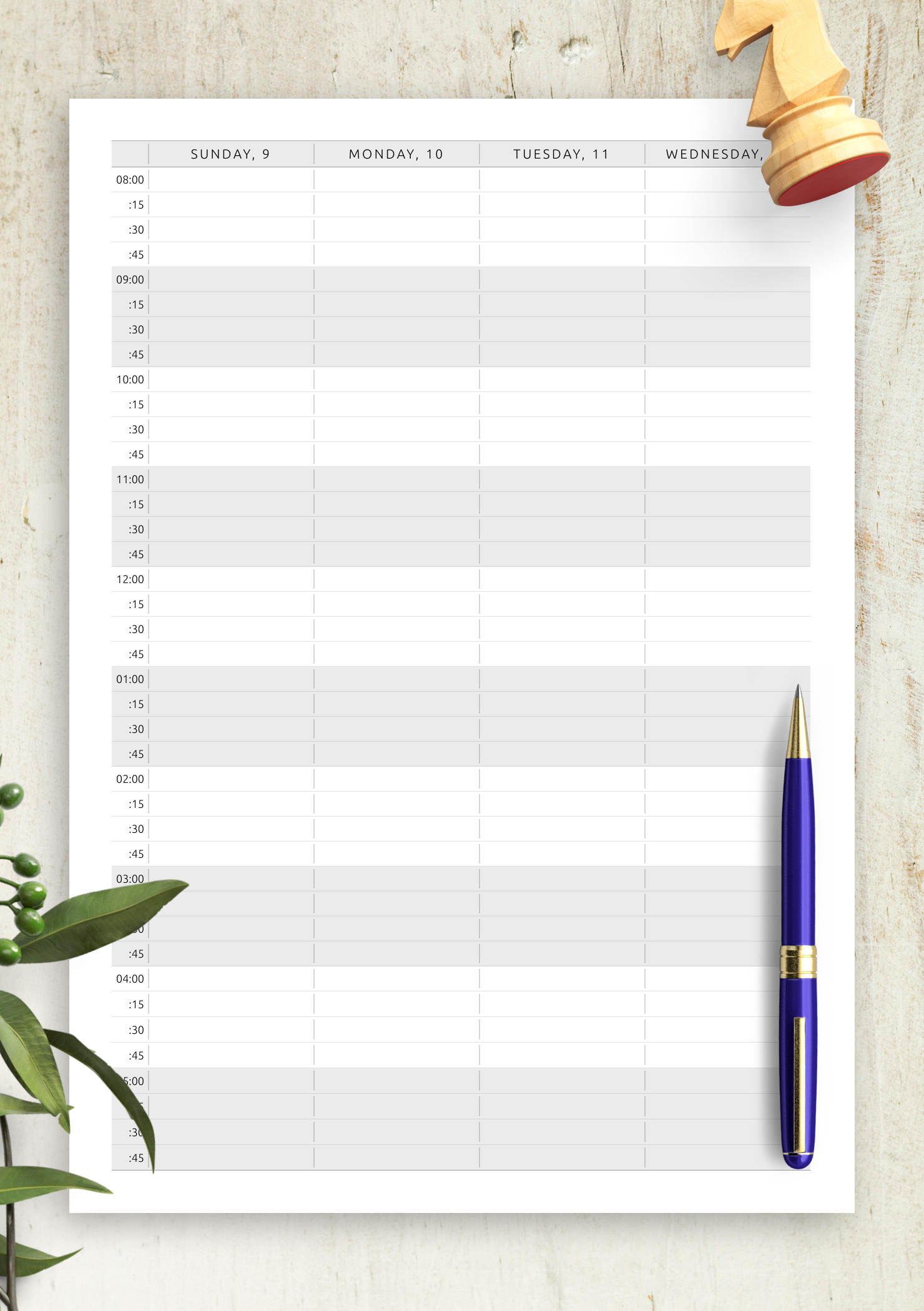 Printable Appointment Calendar - Customize and Print