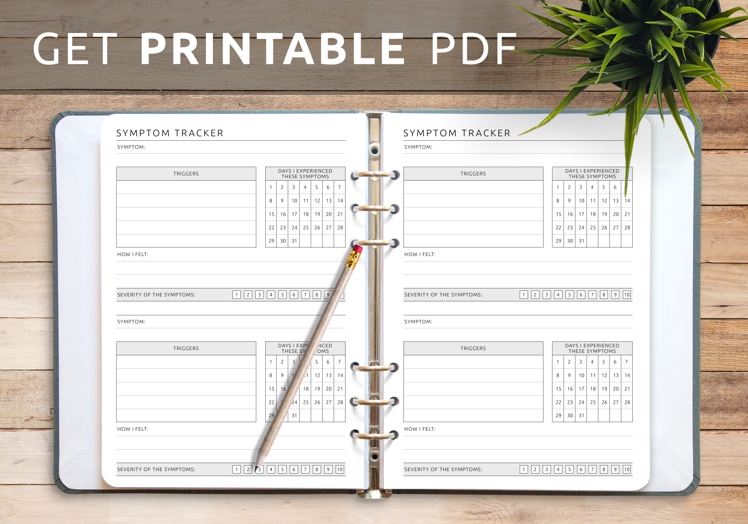 Download Printable Blank Symptom Tracker Template PDF