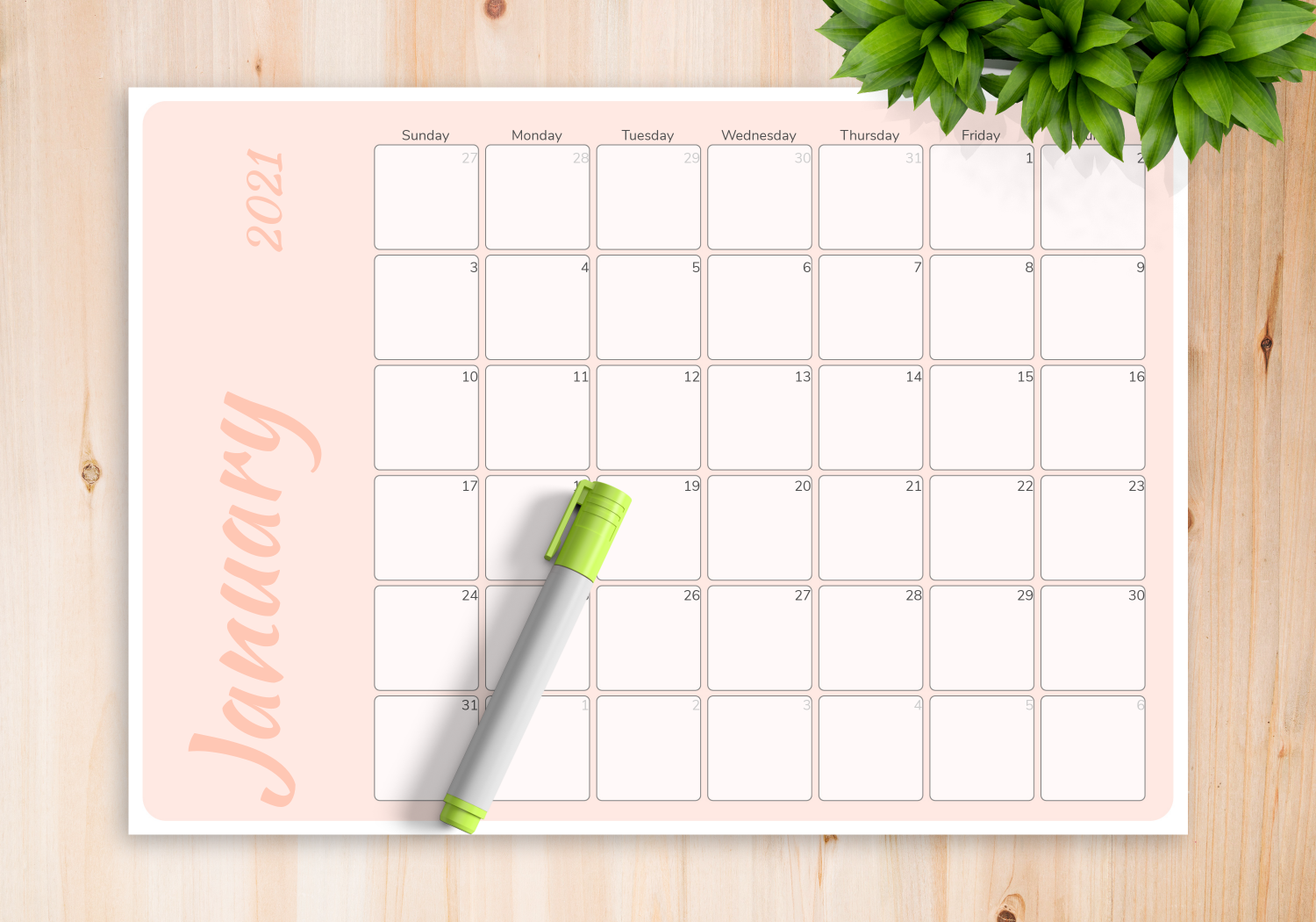 Download Printable Colored Pink Monthly Calendar PDF Download Printable Colored Pink Monthly Calendar PDF