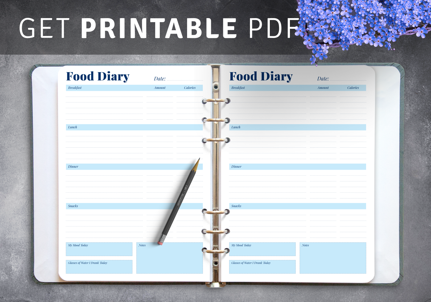 Daily Site Diary Template 10 Free Sample Daily Log Templates 