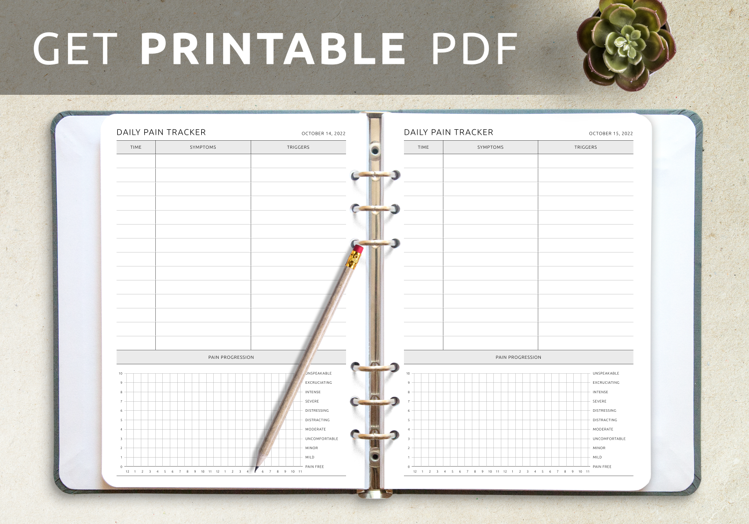 Download Printable Daily Pain Tracker Template PDF