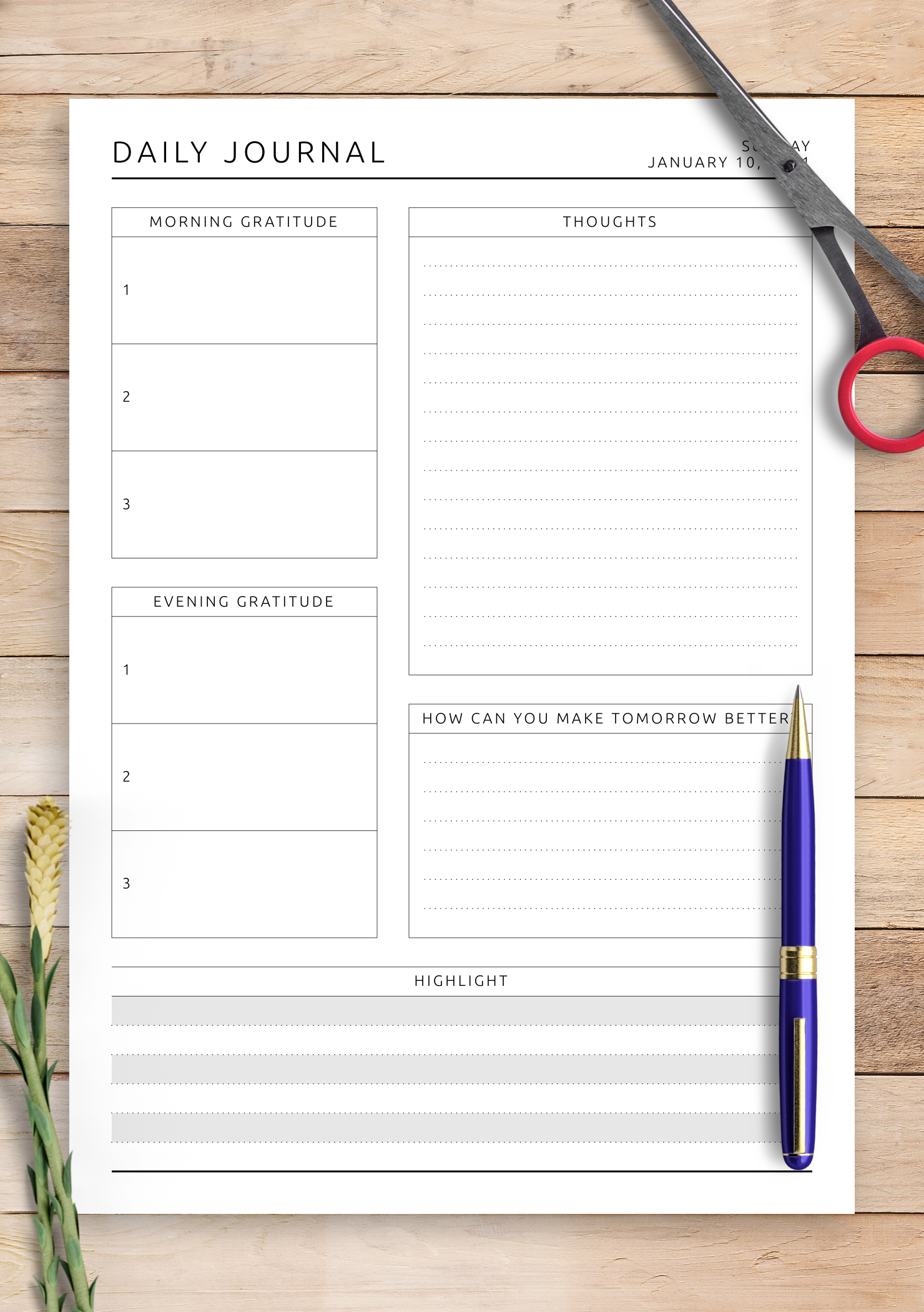 Wellness Journal Template