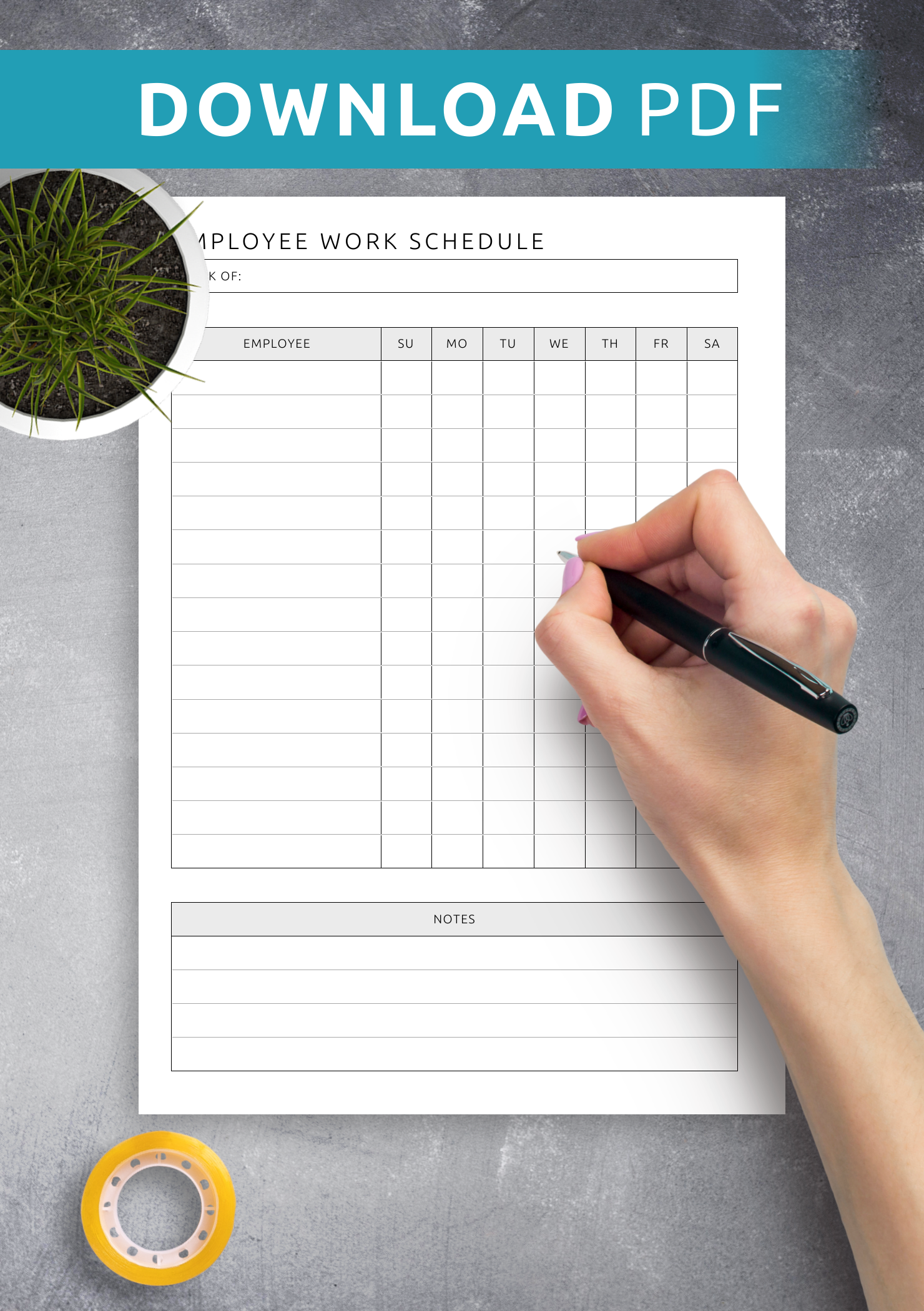 employee weekly work schedule