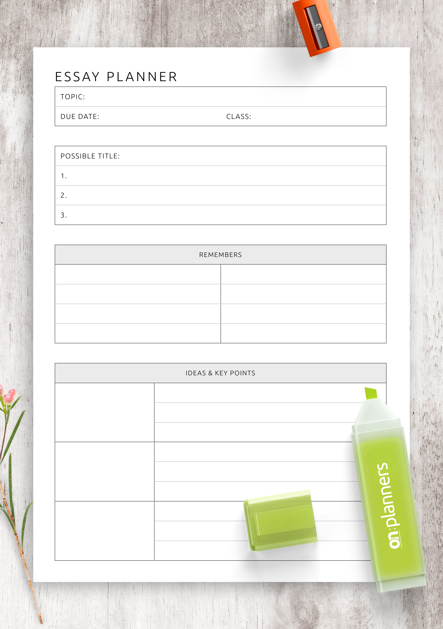 Download Printable Essay Planner Template PDF