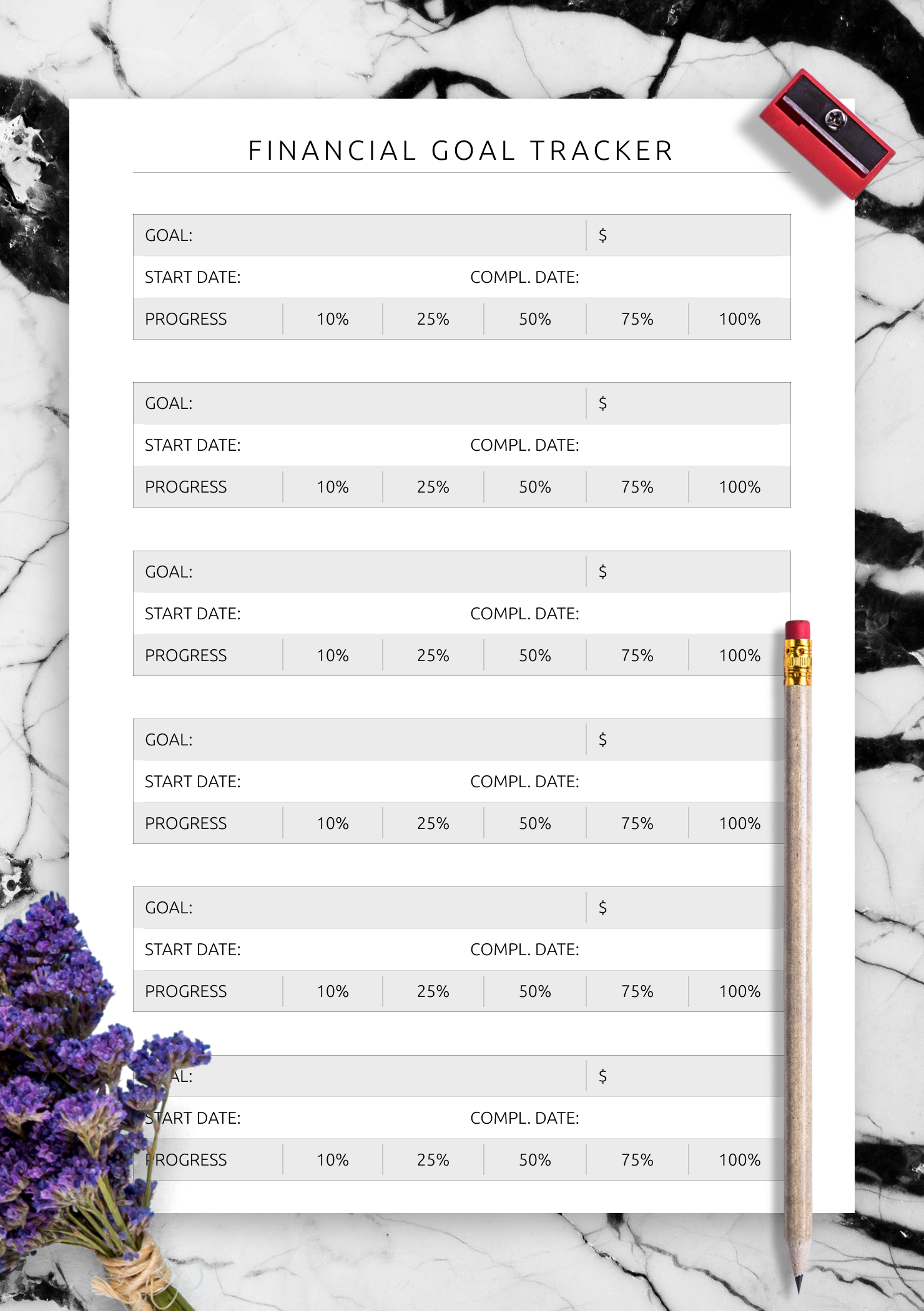 Download Printable Financial Goal Tracker Template PDF