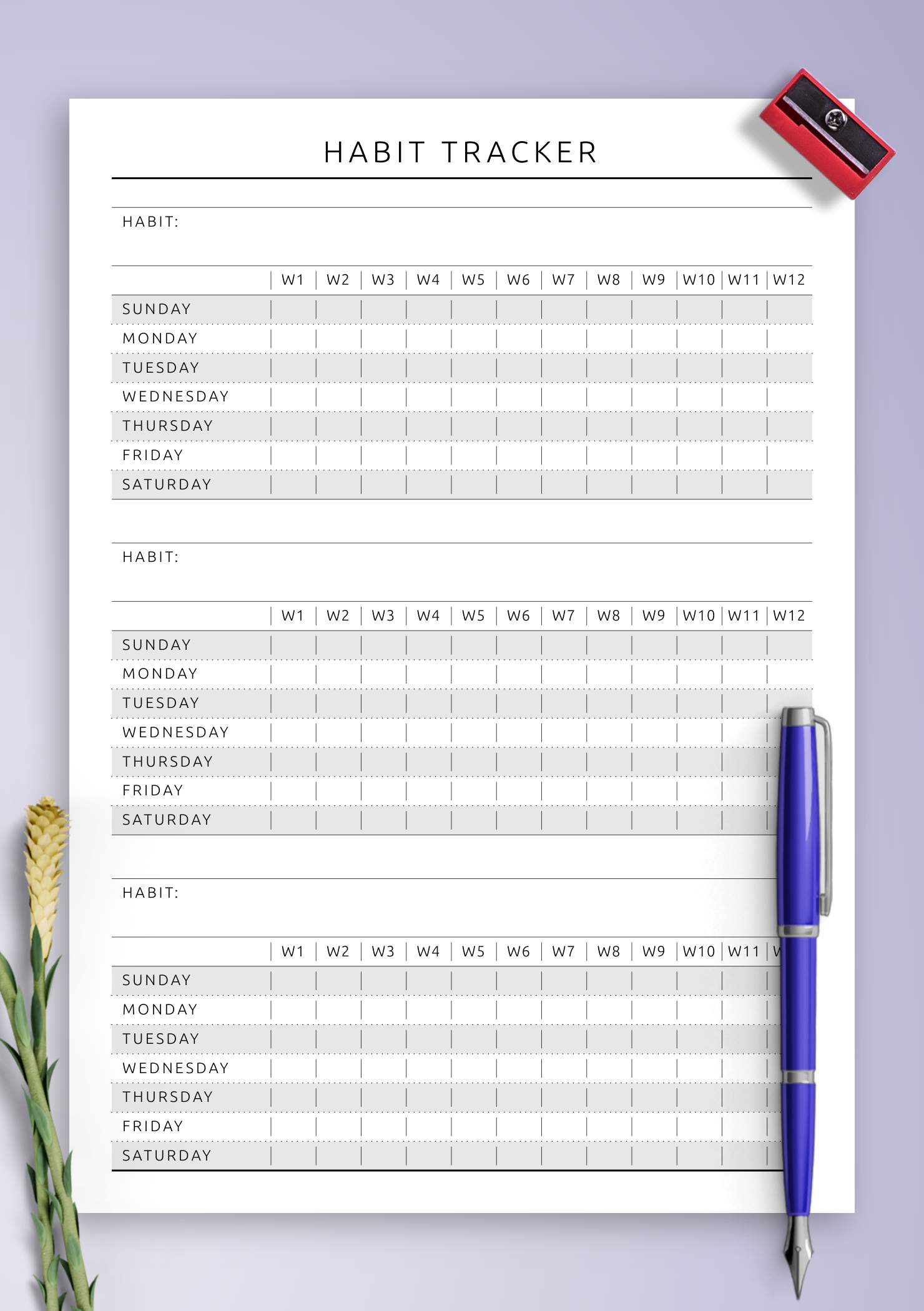 fitness and weight tracker free libreoffice template