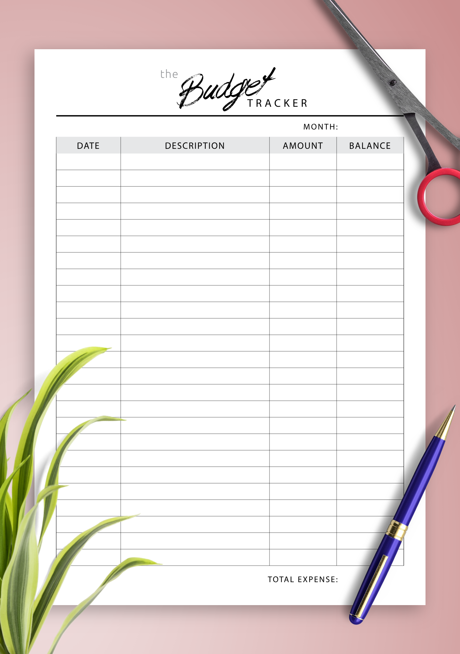 Download Printable Monthly budget tracker PDF