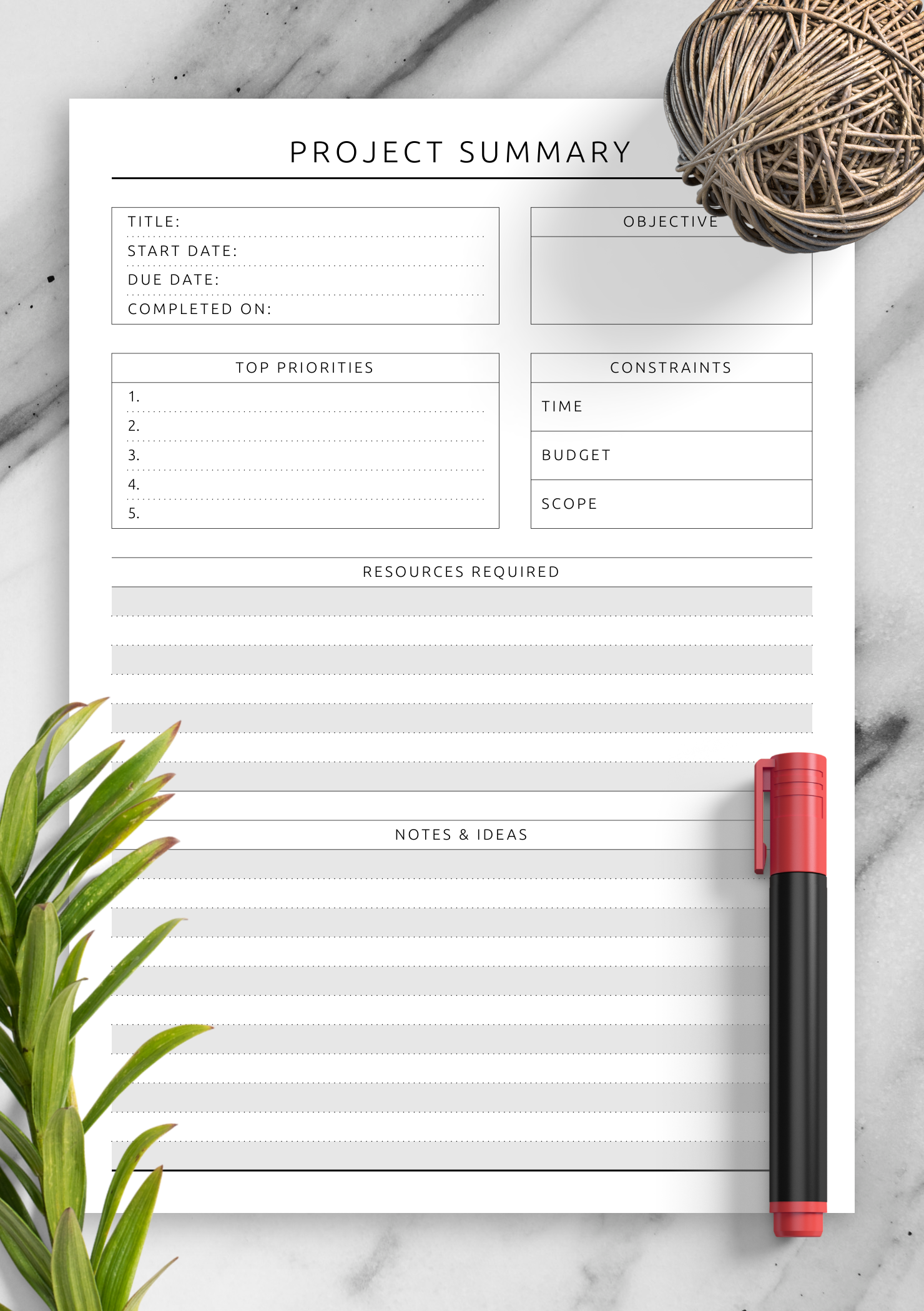 Download Printable Project Summary Template PDF