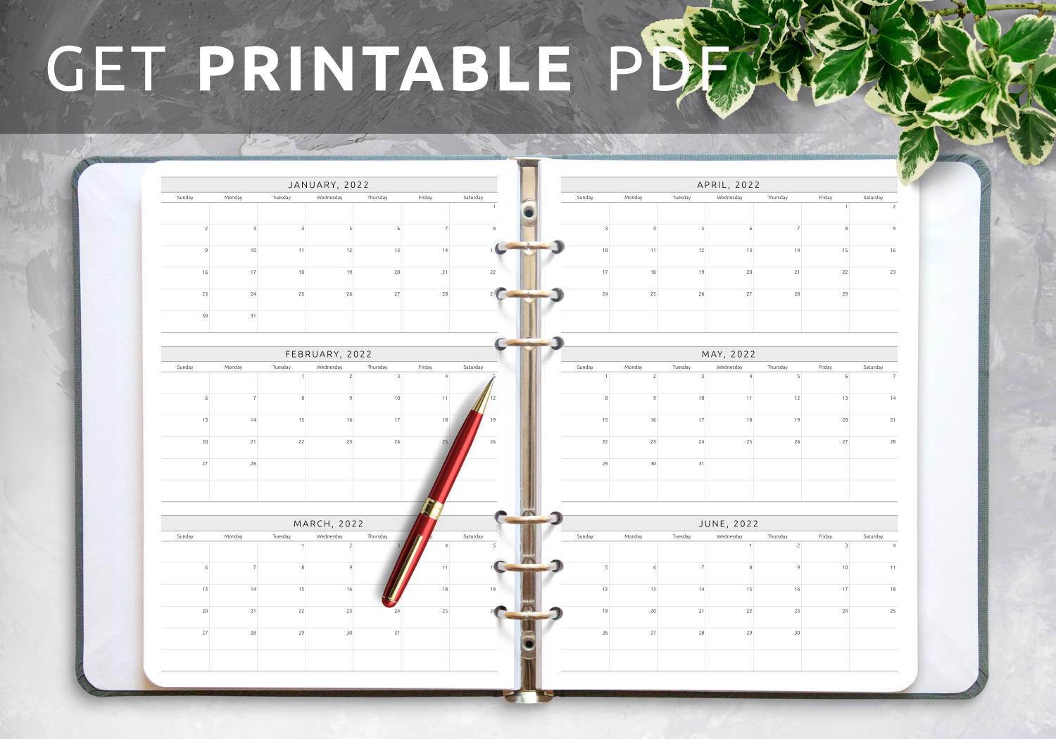 Download Printable Quarterly Calendar Template PDF