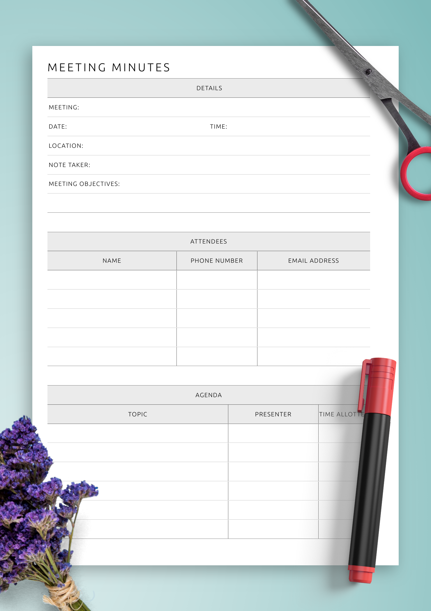 Download Printable Team Meeting Minutes Template Pdf