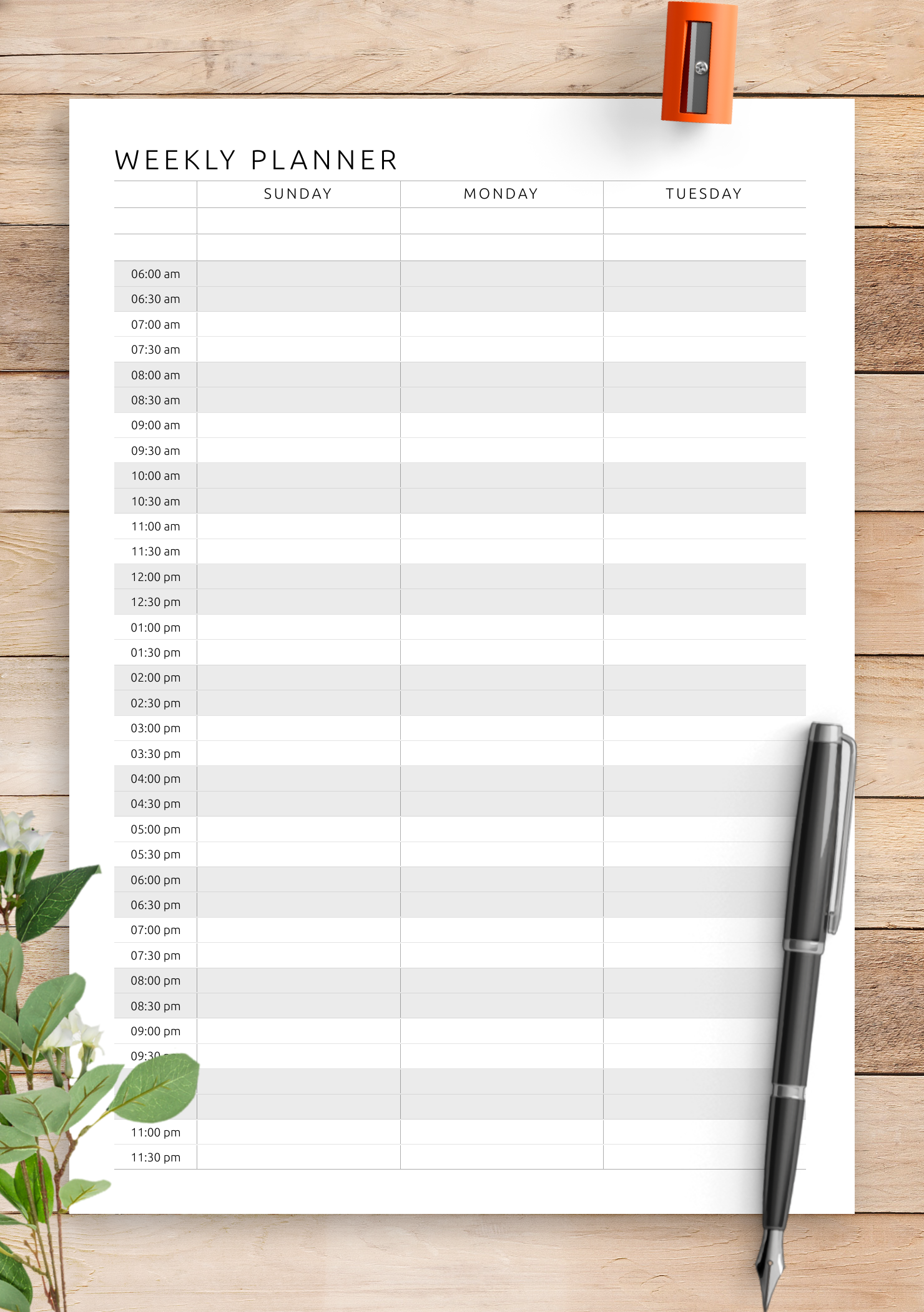 Download Printable Twopage weekly hourly scheduler PDF