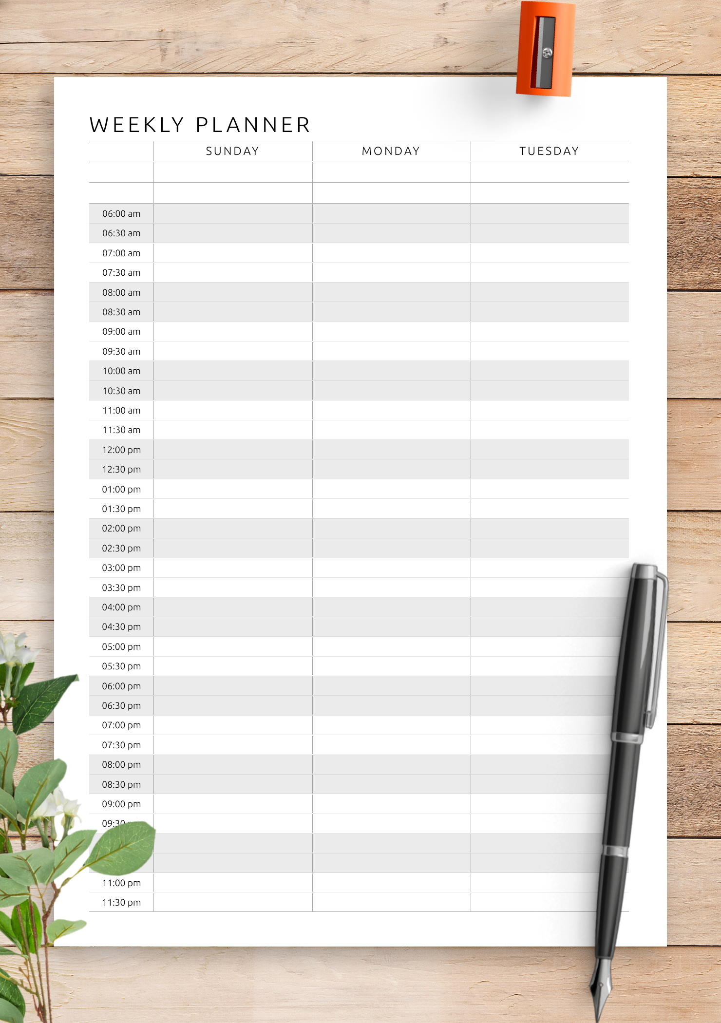 weekly-hourly-planner-printable