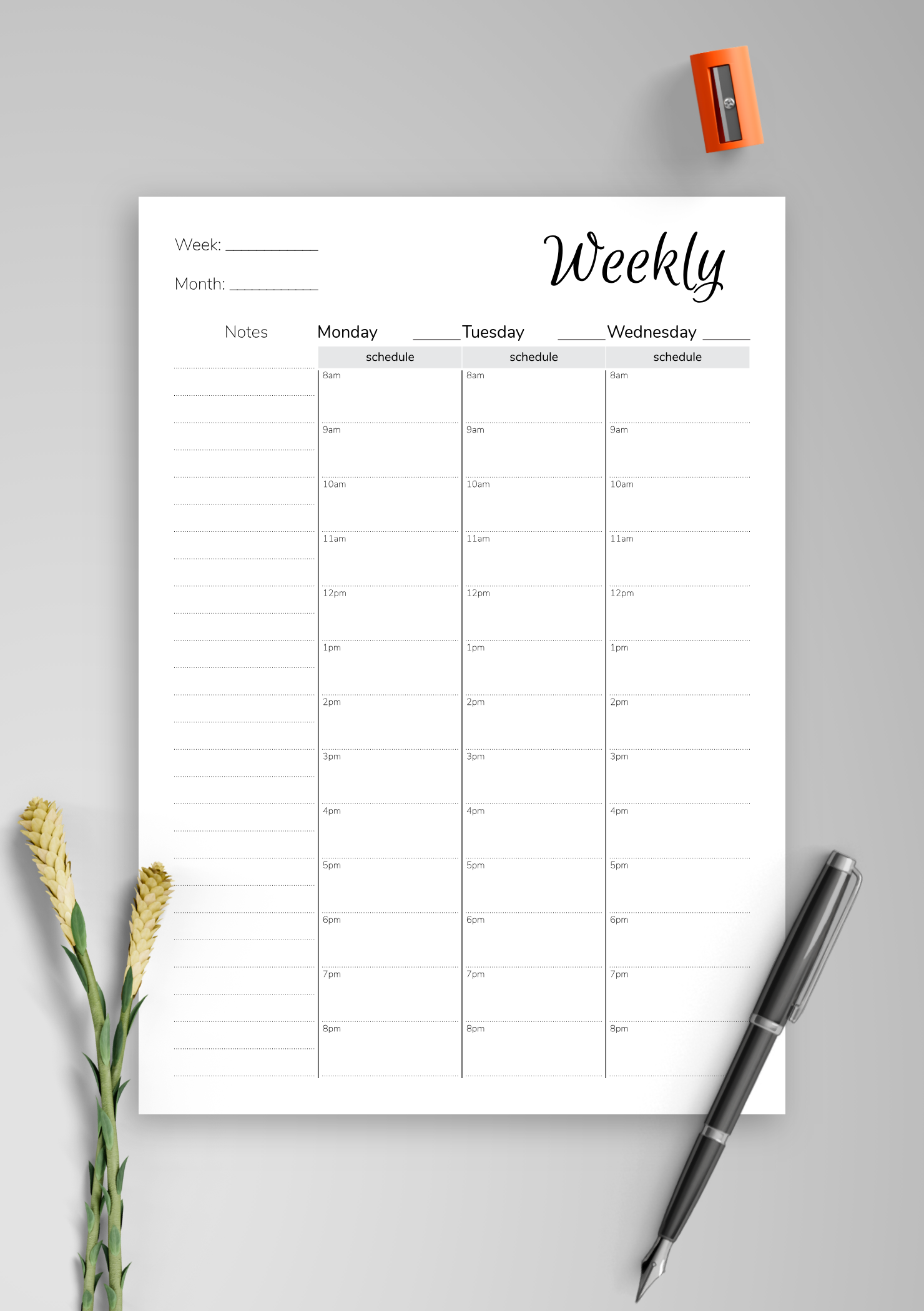 Download Printable Weekly hourly planner with notes section PDF