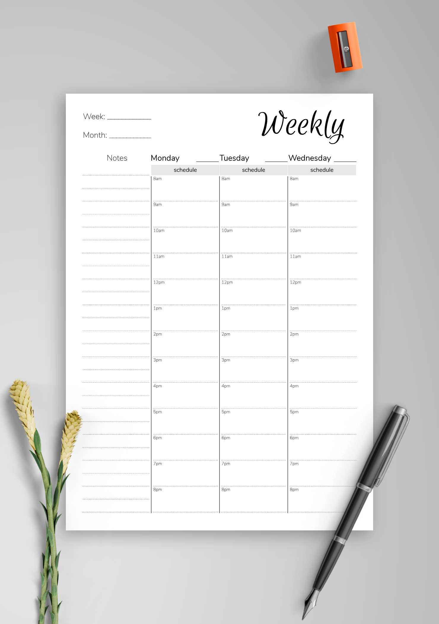 download-printable-weekly-hourly-planner-with-notes-section-pdf