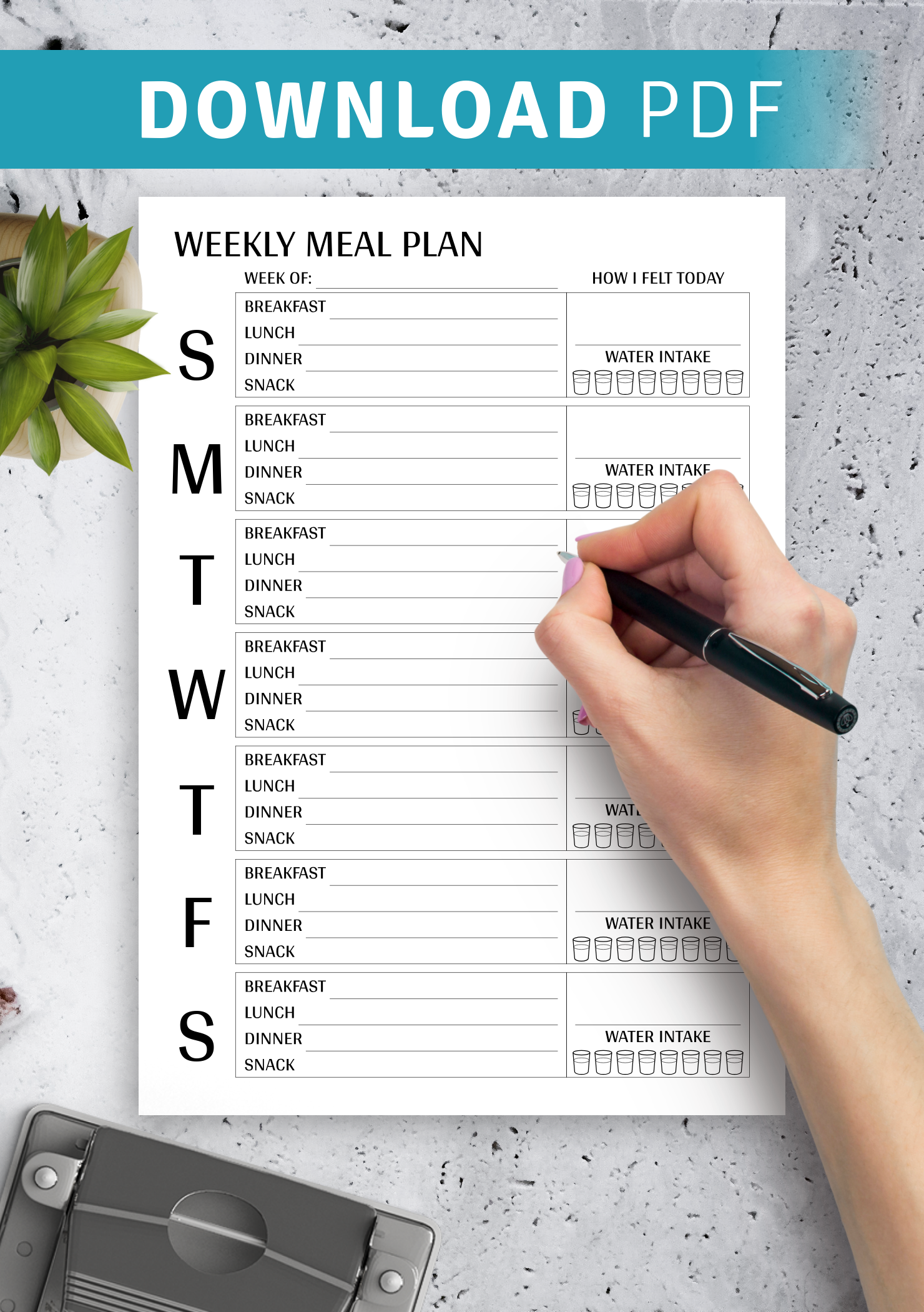 Download Printable Weekly meal plan template PDF For Weekly Meal Planner Template Word