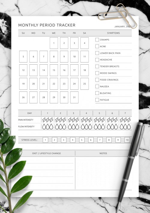 June 2025 Period Tracker Template