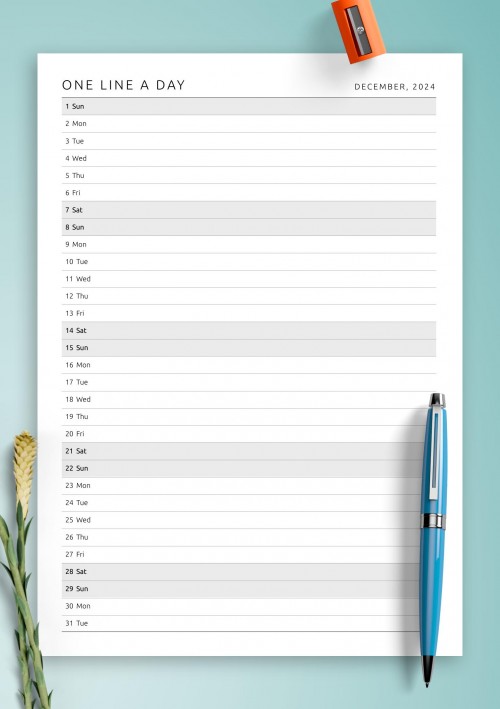 December 2024 One Line a Day Monthly Planner 