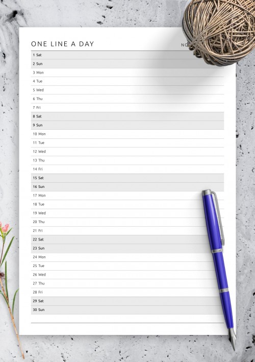 November 2025 One Line a Day Monthly Planner 