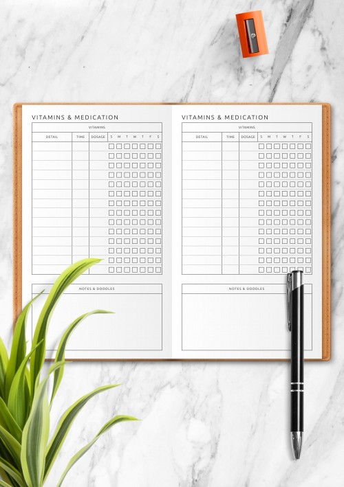 Vitamins & Medication Template for Travelers Notebook