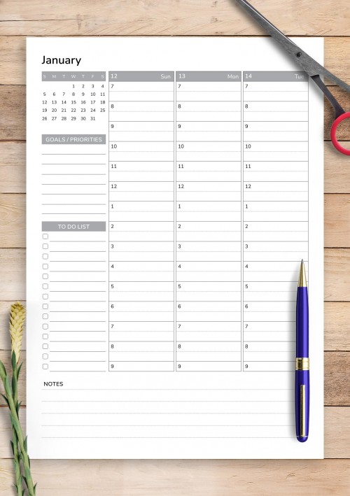 January Weekly Template with Goals and Priorities