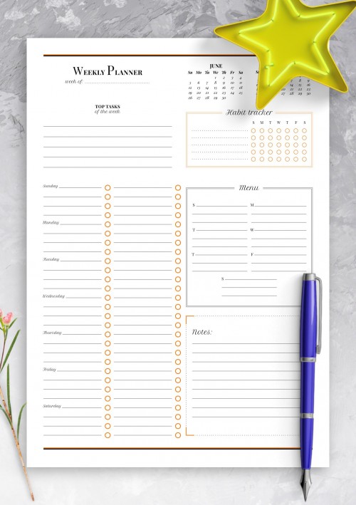 Weekly planner with habit tracker June