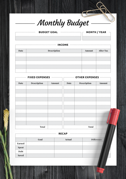 Business Monthly Budget Template from onplanners.com