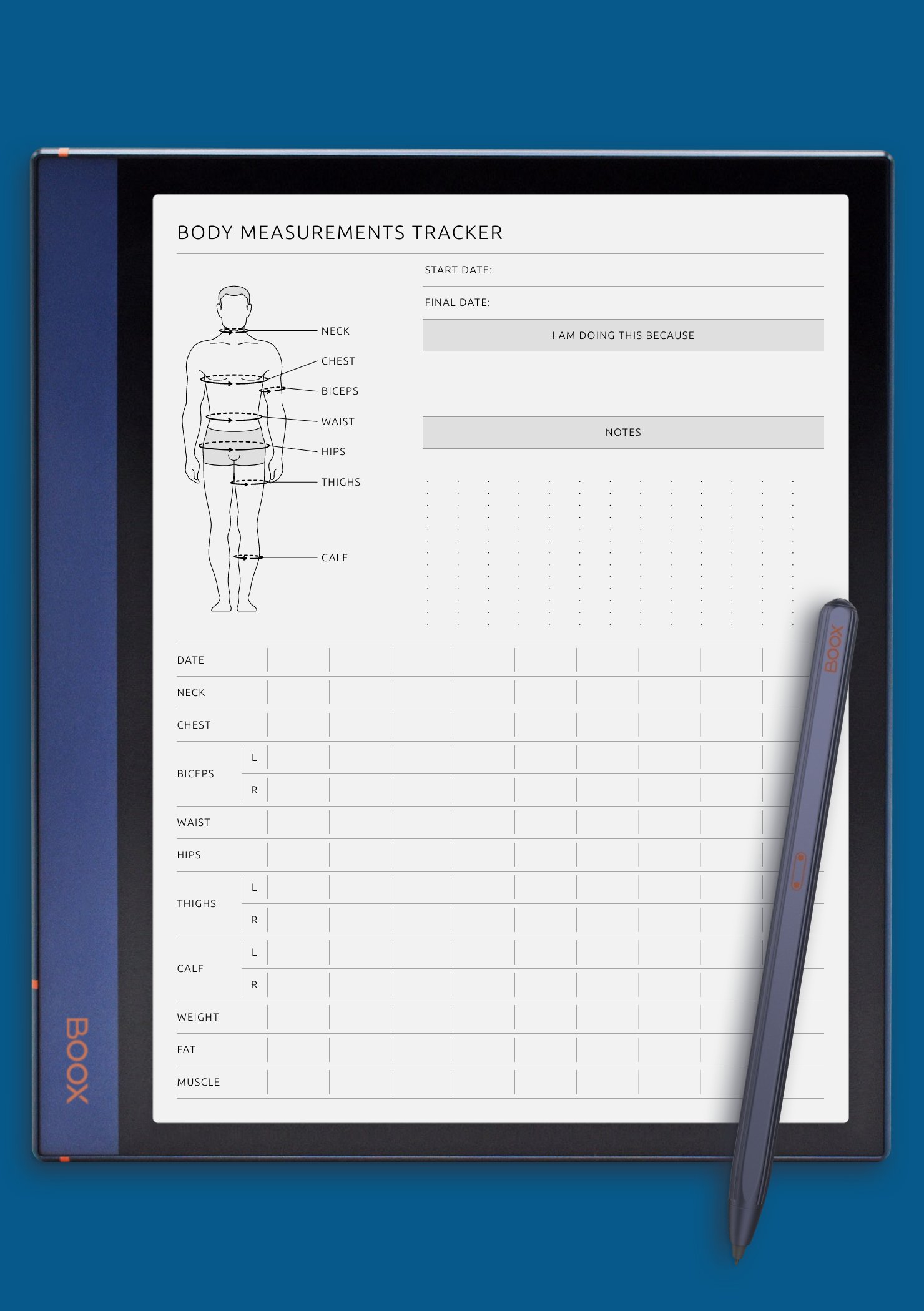 Download Printable Body Measurement Tracker Male PDF