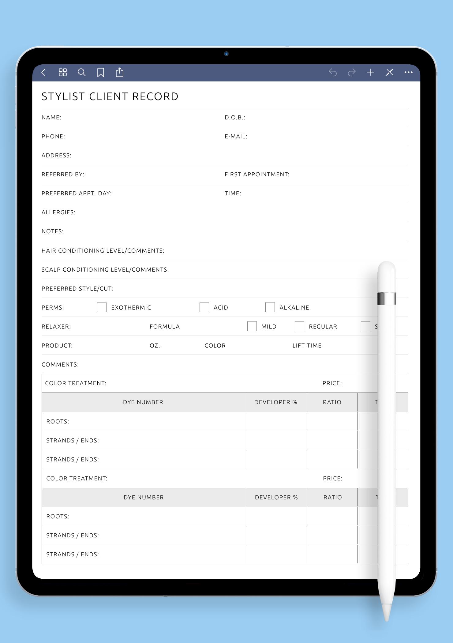 Download Printable Stylist Client Record PDF