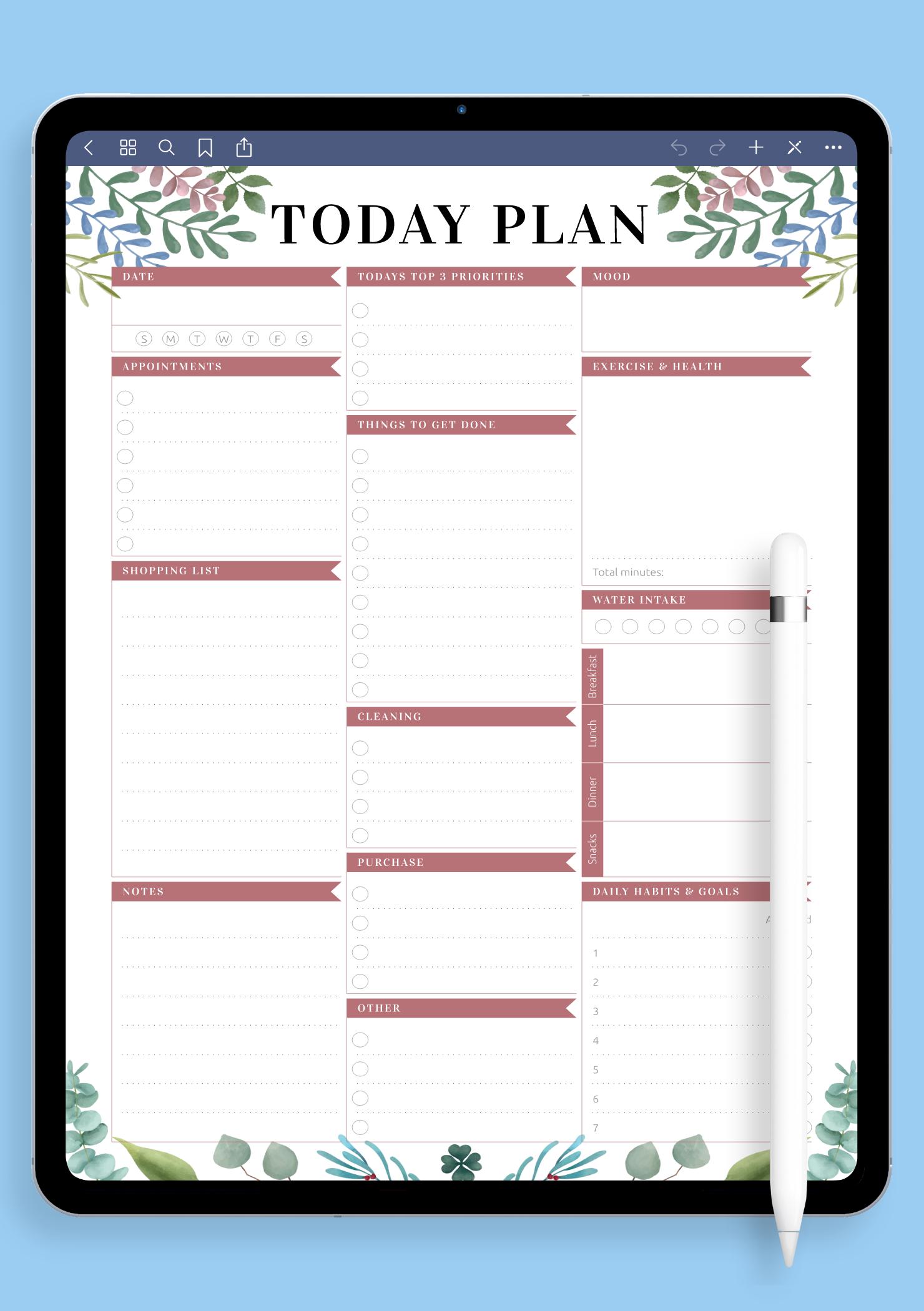 Download Printable Today Plan PDF