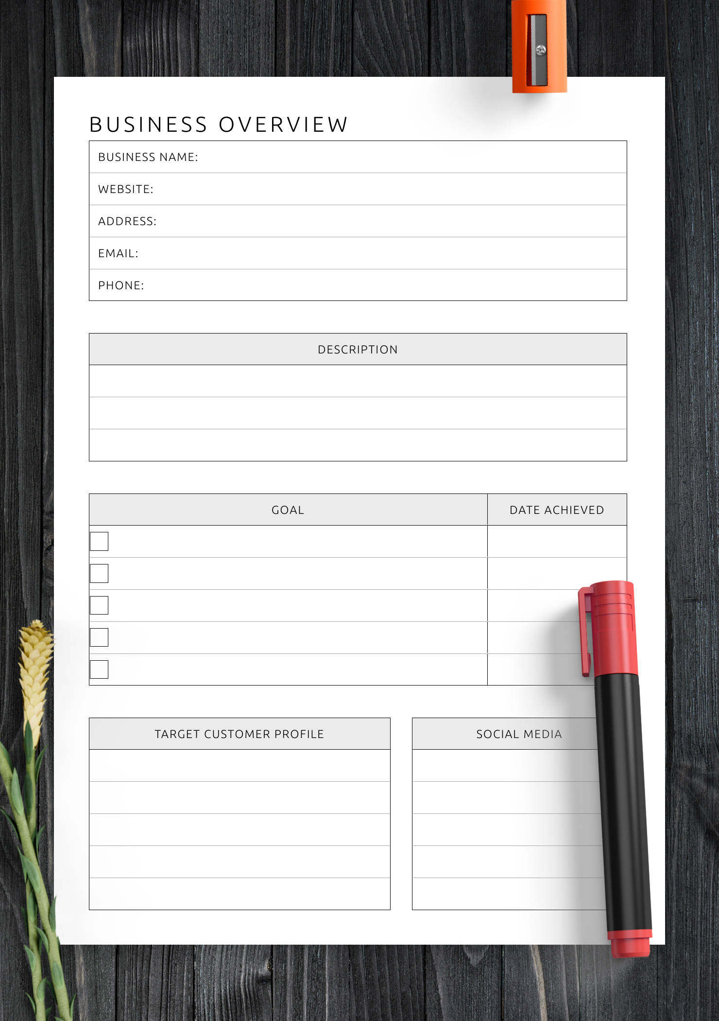 Download Printable Business Overview Template PDF