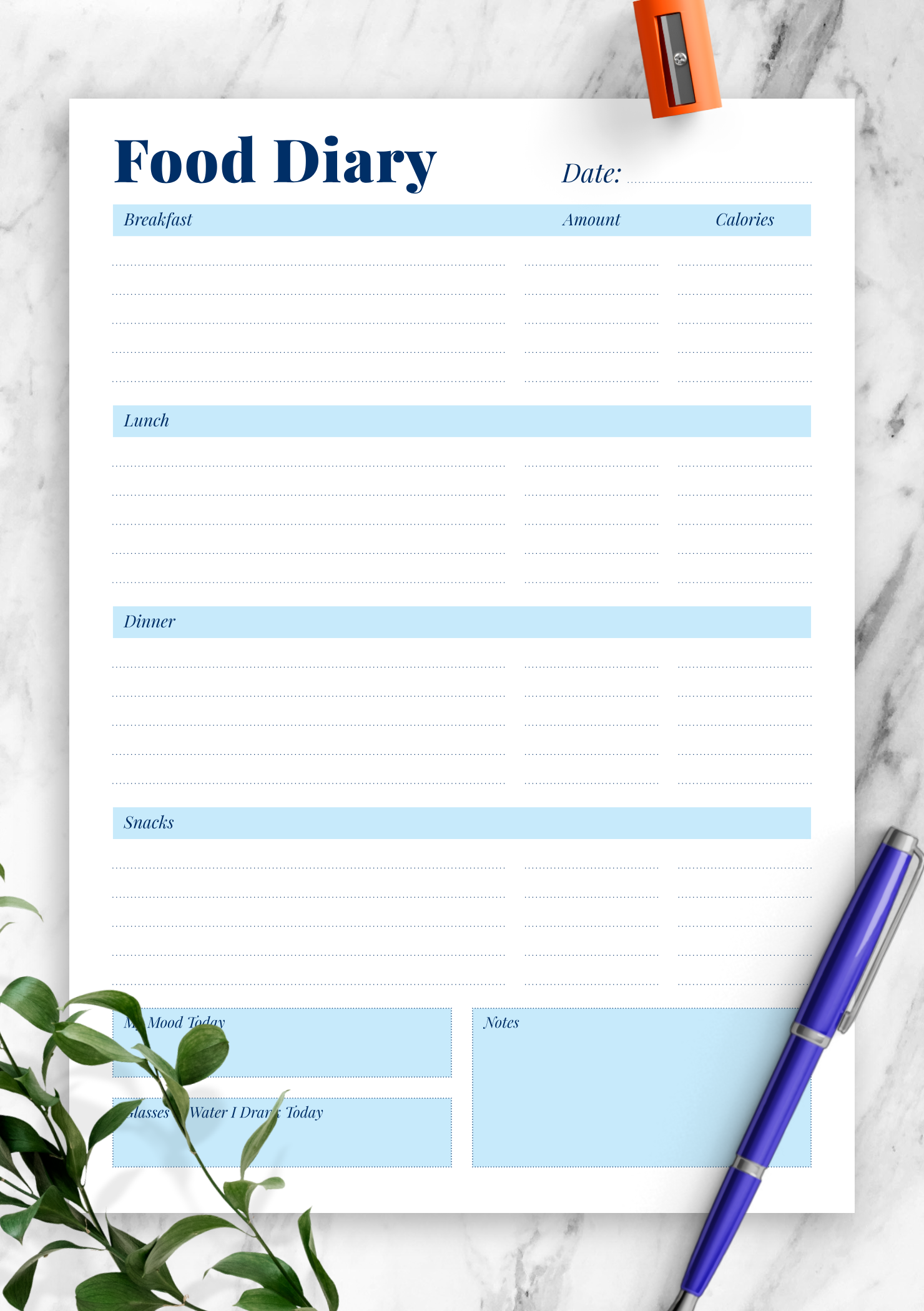 Download Printable Daily Food Diary Template PDF