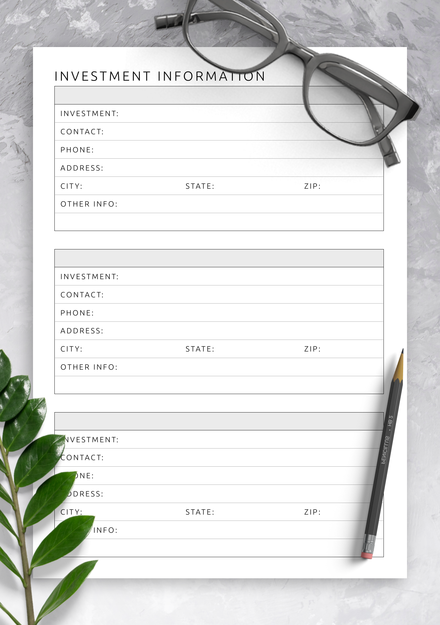 Download Printable Investment Information Template PDF