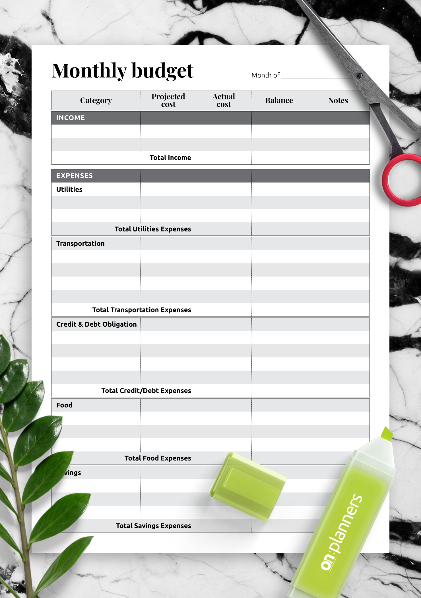 Download Printable Monthly budget with total expense sections PDF