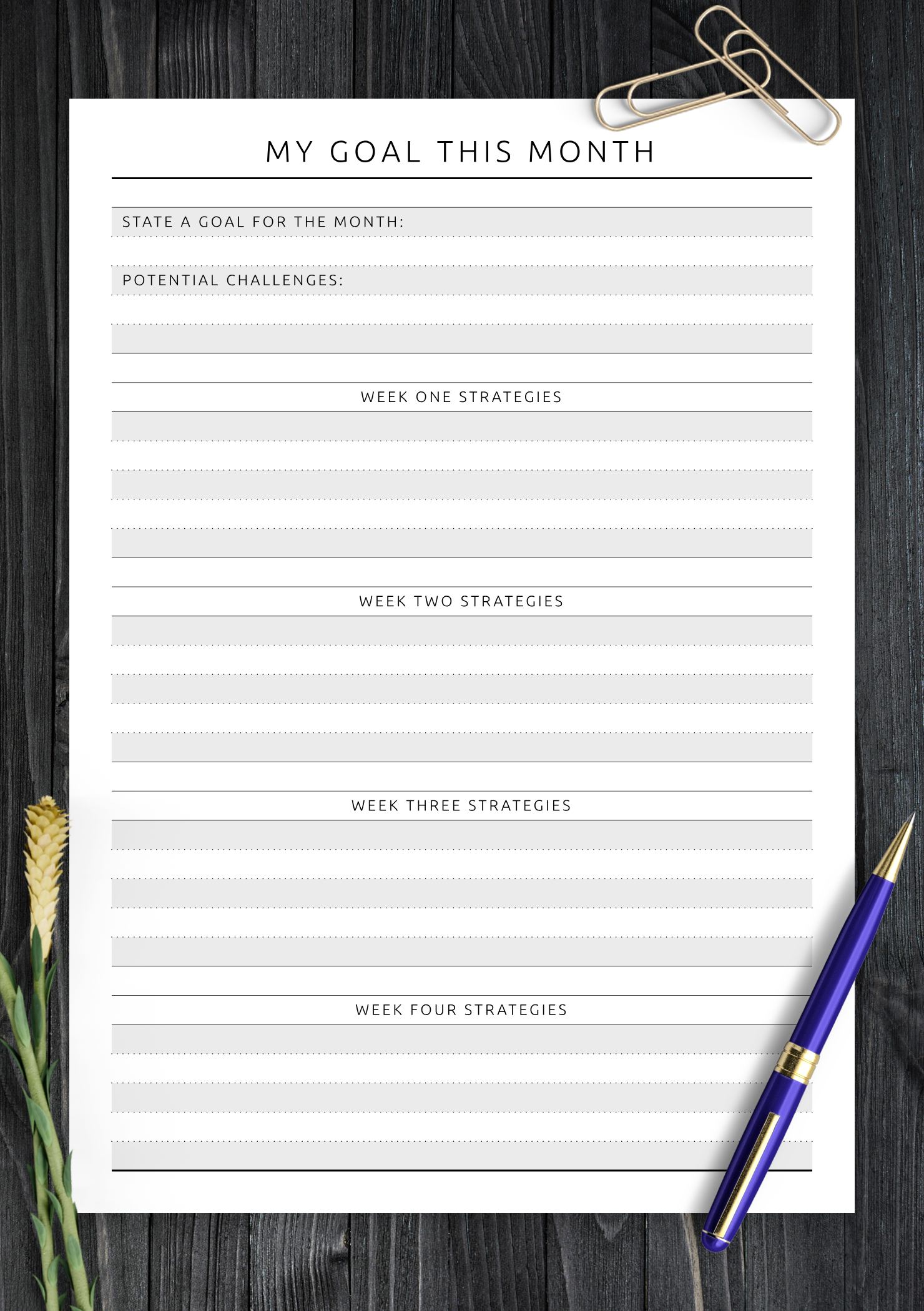 Download Printable My Goal This Month with Weekly Strategies PDF