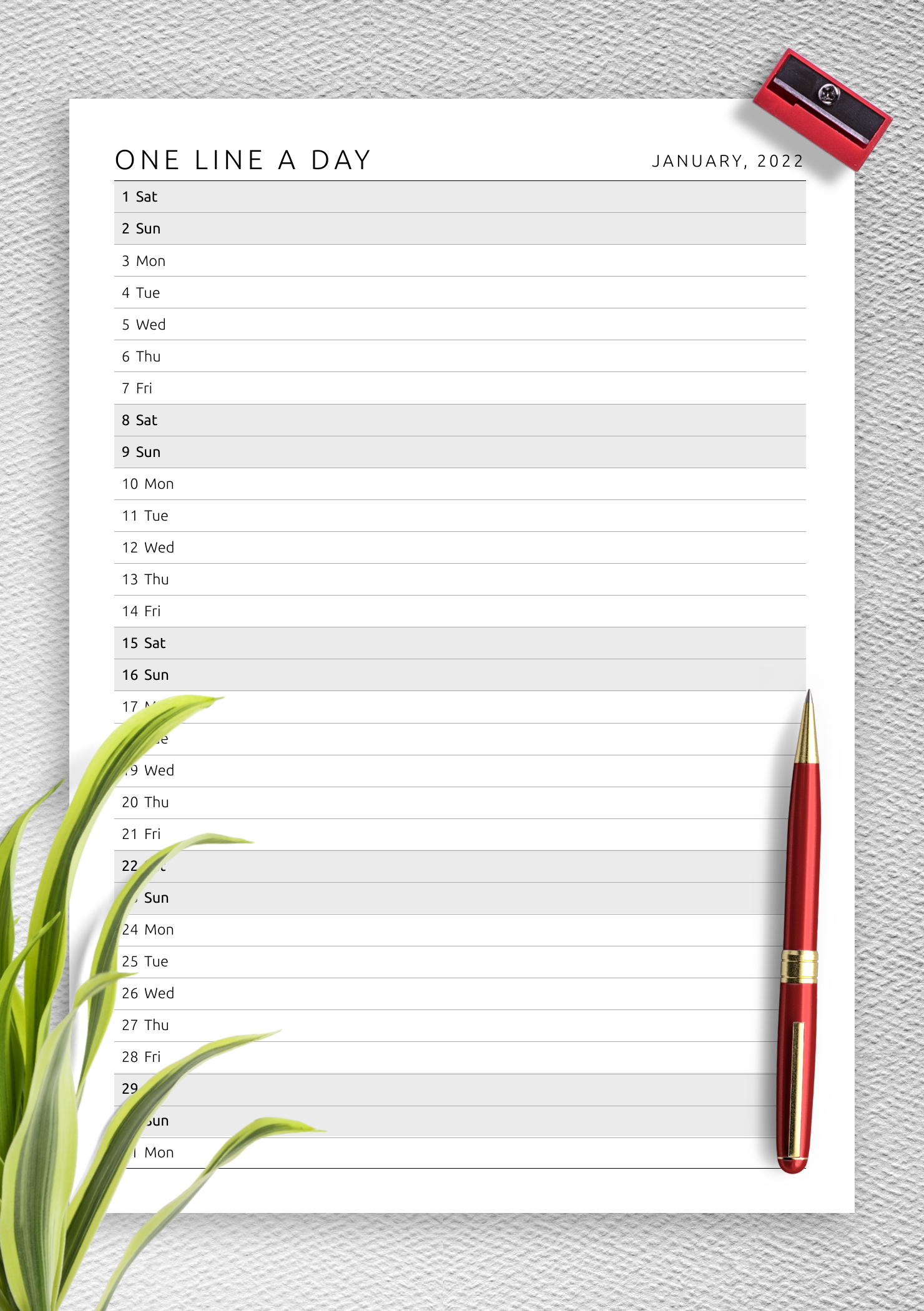 download-printable-one-line-a-day-monthly-planner-template-pdf
