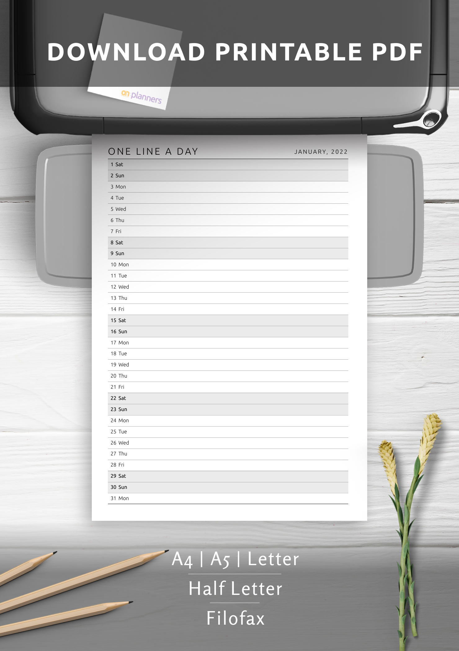 download-printable-one-line-a-day-monthly-planner-template-pdf
