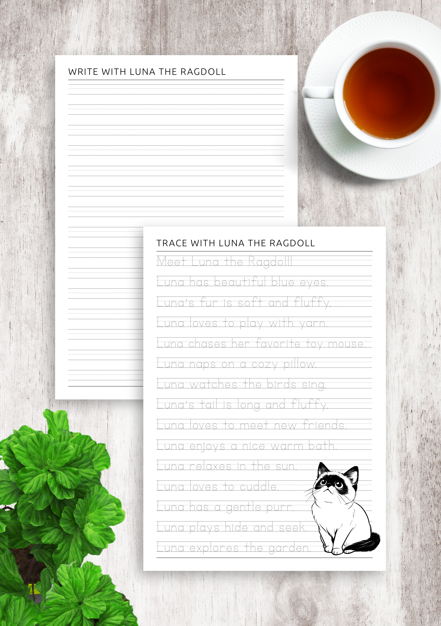 Download Trace & Write with Luna the Ragdoll Printable PDF